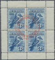 Australien: 1928, Kookaburra Miniature Sheet From Lower Margin Fine Used With Red Exhibition Postmar - Other & Unclassified