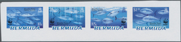 Bermuda-Inseln: 2004, Bluefin Thuna, IMPERFORATE Proof Se-tenant Strip Of Four, Mint Never Hinged. - Bermuda