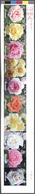 Bermuda-Inseln: 2014, Roses, IMPERFORATE Proof Se-tenant Strip Of Ten With Traffic Lights, Mint Neve - Bermuda