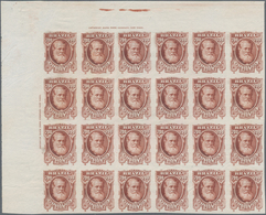 Brasilien: 1878-79, 700 R. Red-brown Imperf Block Of 24 On White Wove Paper, Left Top Wide Corner Ma - Autres & Non Classés