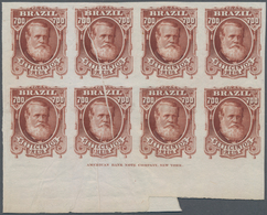 Brasilien: 1878-79, 700 R. Red-brown Imperf Block Of Eight On White Wove Paper, Bottom Wide Corner M - Otros & Sin Clasificación