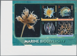 Britische Gebiete In Der Antarktis: 2010, International Year Of Biodiversity 'Sea Animals' (comb Jel - Neufs