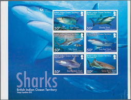 Britisches Territorium Im Indischen Ozean: 2016, Sharks Complete Set Of Six In An IMPERFORATE Sheetl - Other & Unclassified