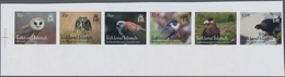 Falklandinseln: 2016, Birds Of Prey, IMPERFORATE Proof Strip Of Six, Mint Never Hinged. - Falkland