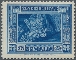 Italienisch-Somaliland: 1938, Definitive Issue 25l. Blue ‚Lion‘ Perf. 14, MNH With Slightly Toned Gu - Somalie