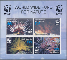 Mikronesien: 2005, WWF (Maldives Feather Star) Complete IMPERFORATE Set Of Four In A Special Miniatu - Micronesië