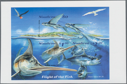 Niuafo`Ou-Insel / Tin Can Island: 2001, Fishes Complete Set Of Three In IMPERFORATE Blocks Of Four A - Altri - Oceania