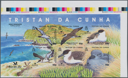 Tristan Da Cunha: 2007, BirdLife International (Great Shearwater; Puffinus Gravis) IMPERFORATE Sheet - Tristan Da Cunha