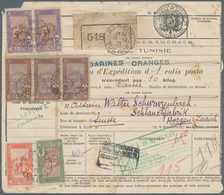 Tunesien - Paketmarken: 1925, 11.65fr. Rate On Parcel Despatch Form From "NABEUL 19.12.25" To Horgen - Tunesië (1956-...)