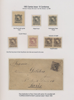 Uruguay: 1883, 10c. Brown "José Gervasio Artigas", Specialised Assortment Incl. Plate/die Proofs, Tw - Uruguay