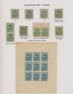 Uruguay: 1900, Corrientes Issue, 1c. Green, Specialised Assortment Incl. Imperforate Plate Proofs, C - Uruguay