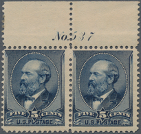 Vereinigte Staaten Von Amerika: 5c Grant Indigo 1888 Issue (Scott 216), Never Hinged Plate No. 517 P - Otros & Sin Clasificación