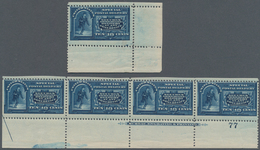 Vereinigte Staaten Von Amerika: 10c 1894 Watermarked Special Delivery (Scott No. E5), Never Hinged B - Other & Unclassified