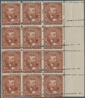 Vereinigte Staaten Von Amerika: 5c Unwatermarked 1894 (Scott 255), Never Hinged Block Of Twelve With - Andere & Zonder Classificatie