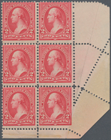 Vereinigte Staaten Von Amerika: 2c Type II Watermarked 1895 (Scott 266), Never Hinged Bottom Right V - Andere & Zonder Classificatie