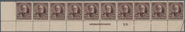 Vereinigte Staaten Von Amerika: 8c 1895 Watermarked (Scott 272), Never Hinged Bottom Plate No. 58, I - Other & Unclassified