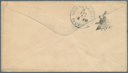 Vereinigte Staaten Von Amerika - Stempel: BEE OF NEW YORK (N.Y.), Clear Strike Of Fancy Duplex With - Poststempel