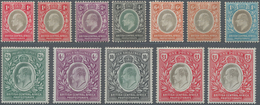 Britisch-Zentralafrika: 1903-04 KEVII. Set To £1 Plus Colour Shades Of 1d., 6d. An £1, Mint Lightly - Autres & Non Classés