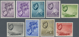 Seychellen: 1938/1949, KGVI Pictorial Definitives Complete Simplified Set Of 25 And Additional Three - Seychellen (...-1976)