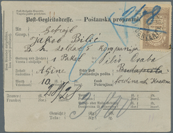 Bosnien Und Herzegowina (Österreich 1879/1918): 1898, Bilingual Parcel Card Accompanying A Parcel Of - Bosnia Erzegovina
