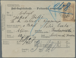 Bosnien Und Herzegowina (Österreich 1879/1918): 1898, Bilingual Parcel Card Accompanying A Parcel Of - Bosnie-Herzegovine