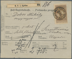 Bosnien Und Herzegowina (Österreich 1879/1918): 1899, Bilingual Parcel Card Accompanying A Parcel To - Bosnie-Herzegovine