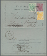 Bosnien Und Herzegowina (Österreich 1879/1918): 1886 Letter Card 5h Red On Grey (with Text Inside) U - Bosnië En Herzegovina