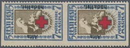 Estland: 1923, Aita Haedalist 5 St, In Vertical Pair "horizontal Imperforated", Unused With Fold Res - Estonie