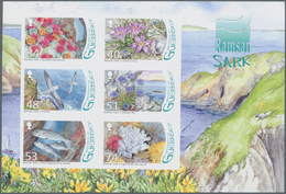 Großbritannien - Guernsey: 2008, Miniature Sheet "International Convention On Wetlands" In Original - Guernesey