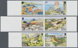 Großbritannien - Isle Of Man: 1994. Complete Set "Ornithological Observatory On Calf Of Man" (6 Valu - Man (Ile De)