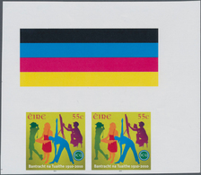 Irland: 2010, 55c. Irish Rural Women's Association, IMPERFORATE Marginal Proof Pair With Traffic Lig - Briefe U. Dokumente