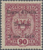 Italienische Besetzung 1918/23 - Trentino: 1918, 90 Heller Of Austria With "Regno D'Italia/ Trentino - Trentino