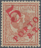 Italienische Besetzung 1918/23 - Trentino: 1918/19: Postage Due Provisionals. Bozen/Bolzano 3. 2c Re - Trentin