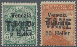 Italienische Besetzung 1918/23 - Trentino: 1918/1919. Italian Difinitives Overprinted " Venezia Trid - Trentin