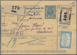 Jugoslawien: 1919. Two Old Hungarian Parcel Cards 10 F Blue/chamois With Additional Mixed Hungarian/ - Andere & Zonder Classificatie