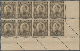 Jugoslawien: 1921. Prince Alexander Definitives. 2 P Sepia, Mint (stamps Mnh) Horizantal Block Of 8 - Andere & Zonder Classificatie