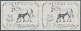 Jugoslawien: 1980 (25 June). 400th Anniversary Of Lipica Stud Farm. Variety, 2,50(D) Black, IMPERF. - Other & Unclassified