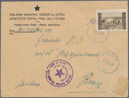 Jugoslawien - Volksrepubliken 1945: Istrien Und Slow. Küstenland: 1946, 10 L Brown "plower", Tied By - Autres & Non Classés