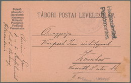 Österreich - Militärpost / Feldpost: 1915. AUSTRO-HUNGARIAN NAVY WWI. 1915, “TABORI POSTAI LEVELEZOL - Altri & Non Classificati