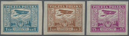 Polen: 1925, Airmail Issue ‚airplane Over Warsaw‘ 1gr. Pale Blue, 3gr. Brown And 15gr. Lilac In IMPE - Ongebruikt