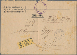 Rumänien - Besetzte Gebiete In Der Ukraine: 1919, Registered Envelope During Romanian Occupaiton Of - Otros & Sin Clasificación