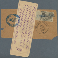 Russland - Semstwo (Zemstvo): 1884, VESSIEGONSK : A Wrapper With Newspaper From ST. PETERSBURG To Im - Zemstvos