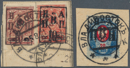 Russland - Post Der Bürgerkriegsgebiete: Nikolajewsk / Amur / Priamur: 1921 20k. Red & Blue, Perfora - Altri & Non Classificati