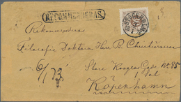 Schweden: 1872 30øre Brown Used On Part Registered Cover (front Only) From Stockholm To Copenhagen, - Used Stamps
