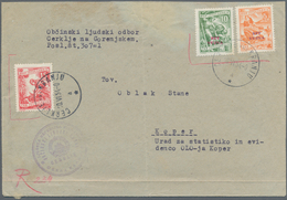 Triest - Zone B: 1954, 5din. Orange And 10din. Green With Overprint In Combination With Jugoslavia 1 - Nuevos