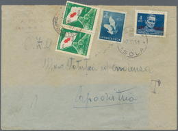 Triest - Zone B - Zwangszuschlagsportomarken: 1951, 2 Din Blue "goose" And 4 Din Dark Blue "Tito" (S - Fiscale Zegels