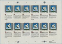 Vereinte Nationen - Genf: 1993. Imperforate Pane Of 12 + 12 Se-tenant Labels For The 90c Value Of Th - Ungebraucht