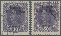 Westukraine: 1919, 1st Stanislaus Issue Sch On 3o H. Varieties: No Dot After "H" (Pos. 3) And Wide S - Ukraine