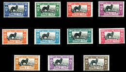 * N°21/31, Série Chiens De Terre Neuve TB  Qualité: *  Cote: 210 Euros - Used Stamps