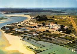 PIE.FOI-19-5420 : VUE AERIENNE DE TALMONT SAINT-HILAIRE. PORT DE LA GUITTIERE. - Talmont Saint Hilaire